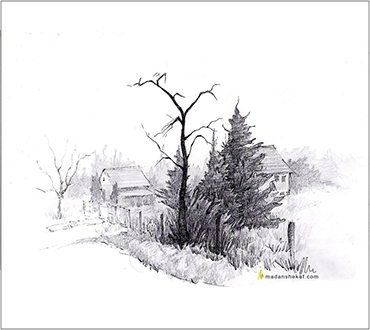 Lucian Portfolio Img